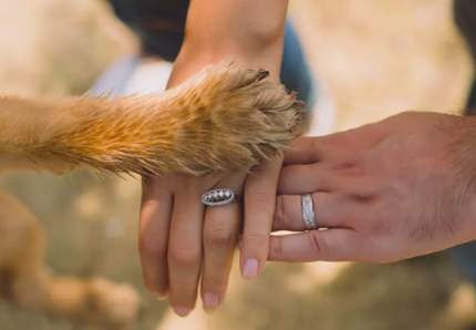 Pet therapy: il potere curativo degli animali 